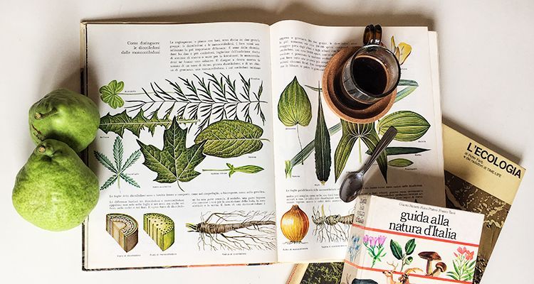 libros botánicos inspiración lucirmas
